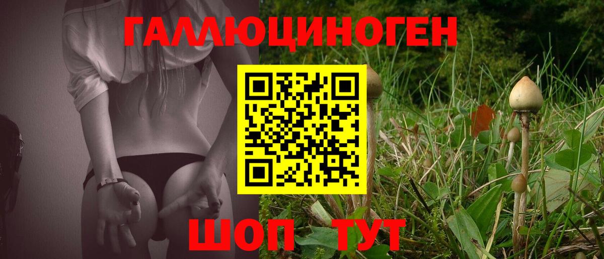 Галлюциногенные грибы Cubensis Шарыпово
